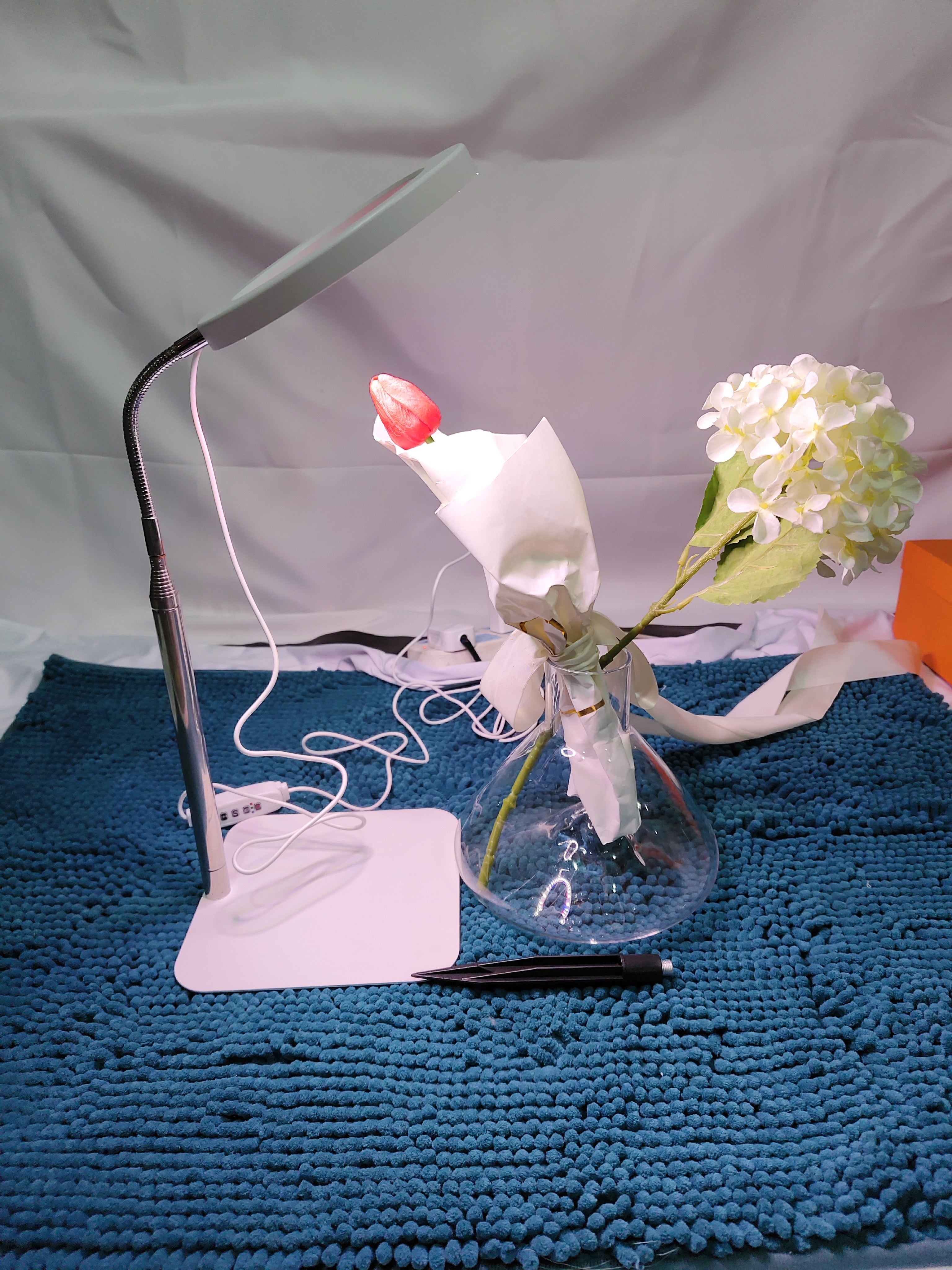 Full-Spectrum Grow Light Floor Lamp